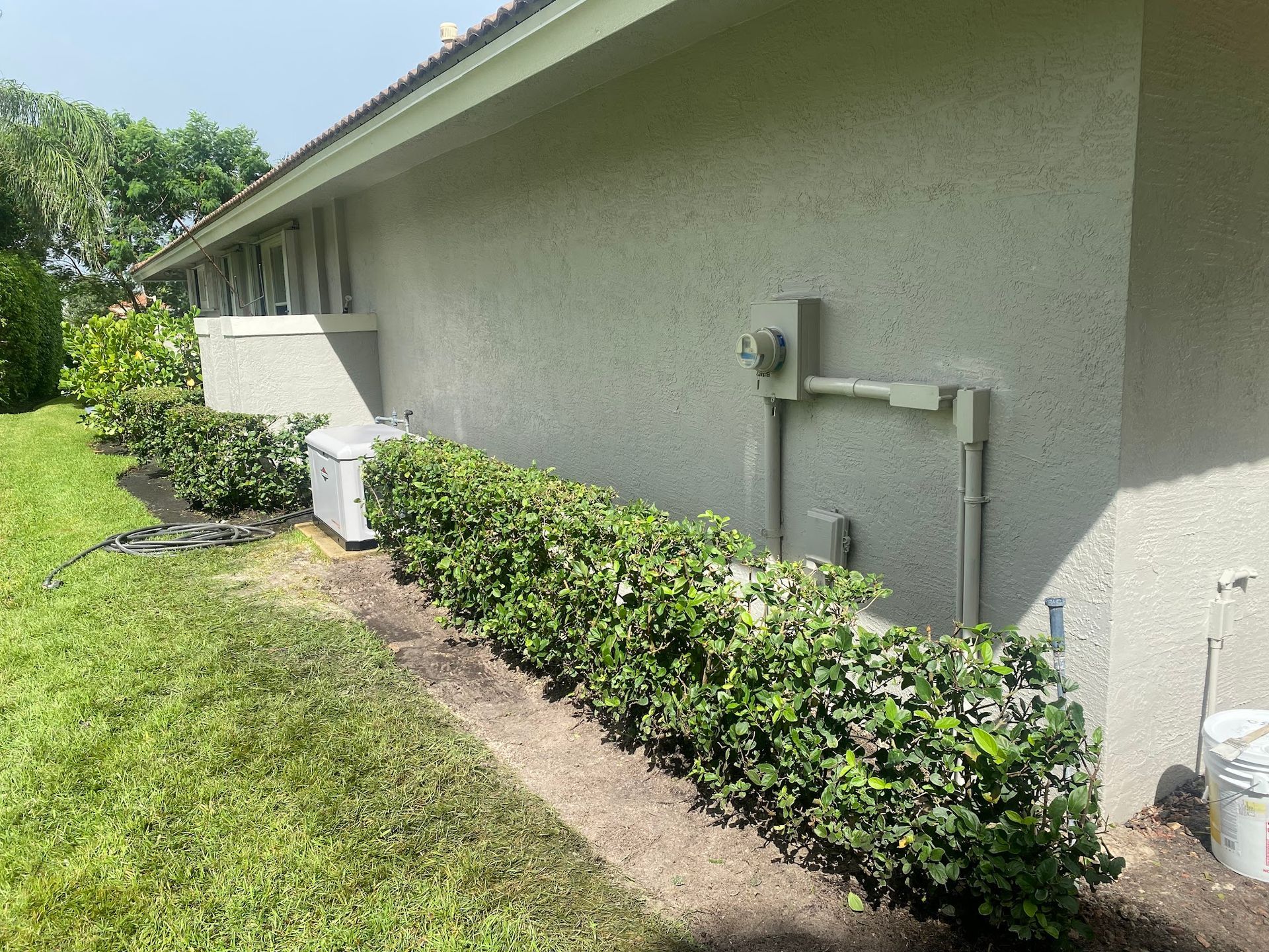A house with a lot of bushes on the side of it.