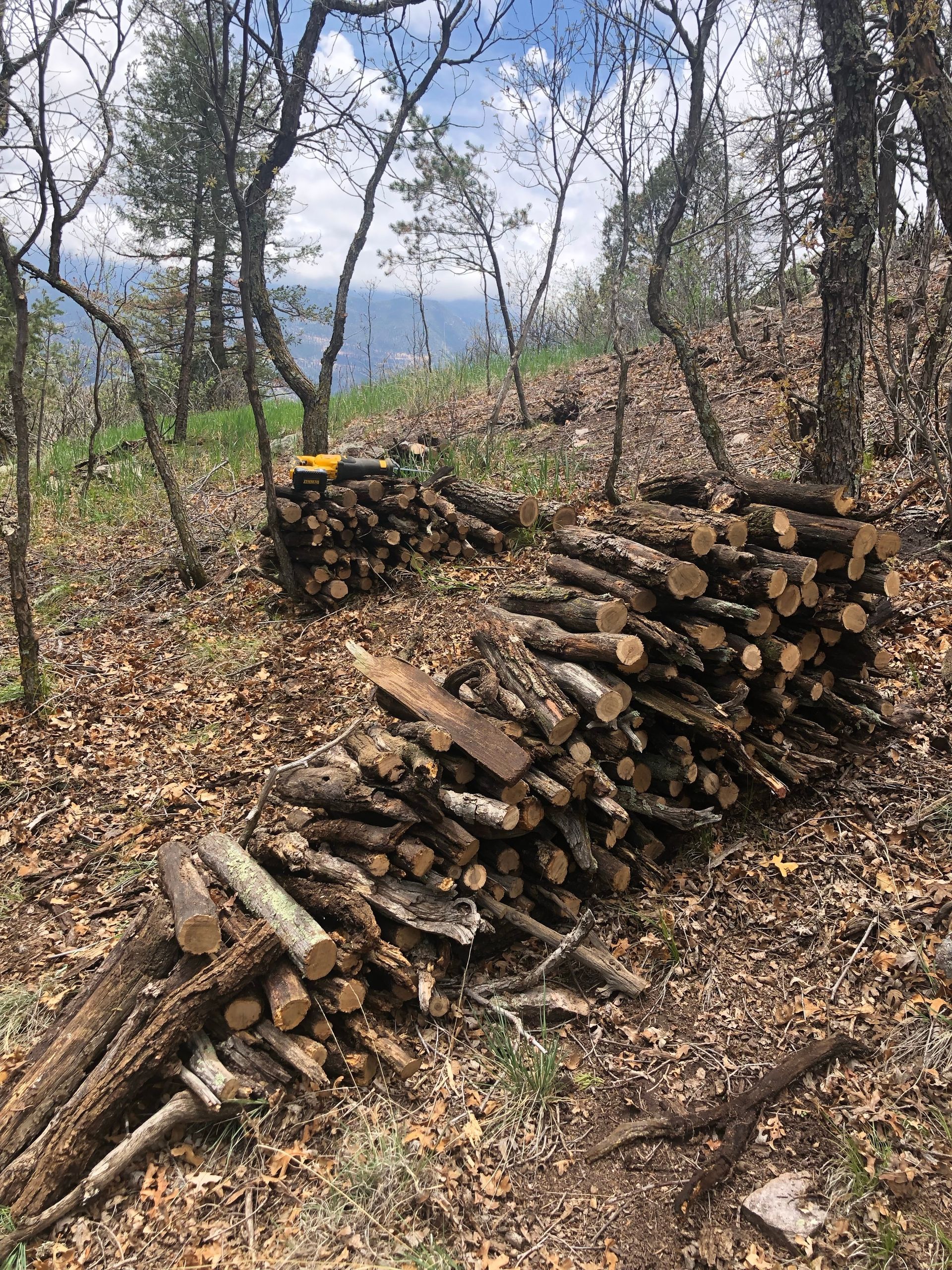 Two piles of cut logs in a wooded area, with a mountain range visible in the distance.