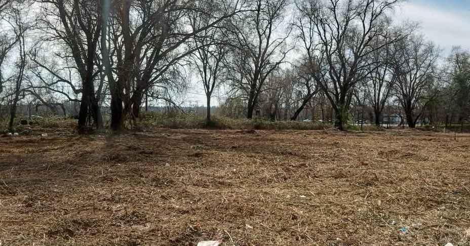 Cleared field with brown ground, trees without leaves in the background, bright sky.