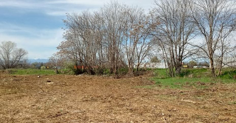 Brown plowed field with bare trees against a cloudy sky.