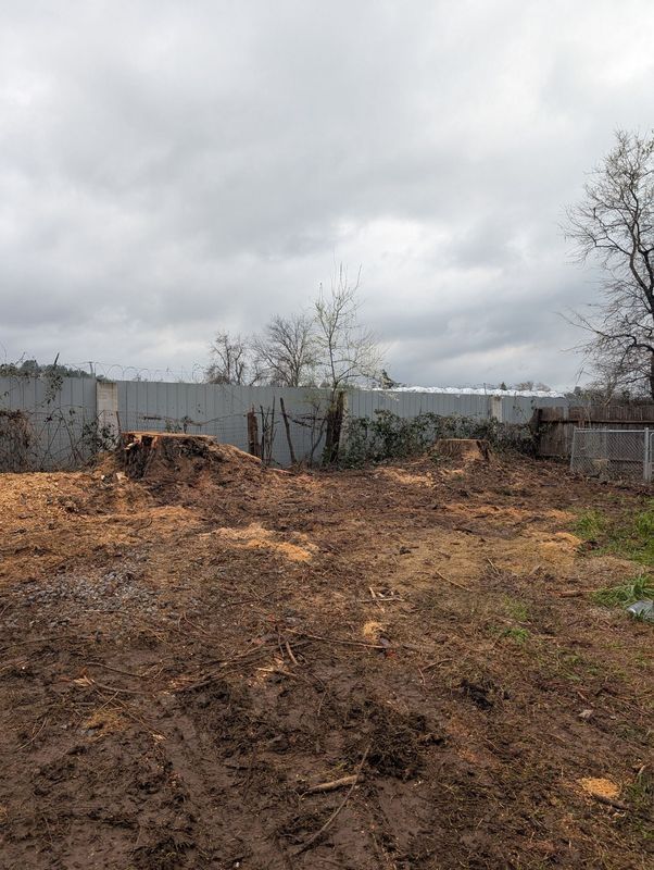 Muddy yard with tree stumps, sawdust, and a metal fence under an overcast sky.