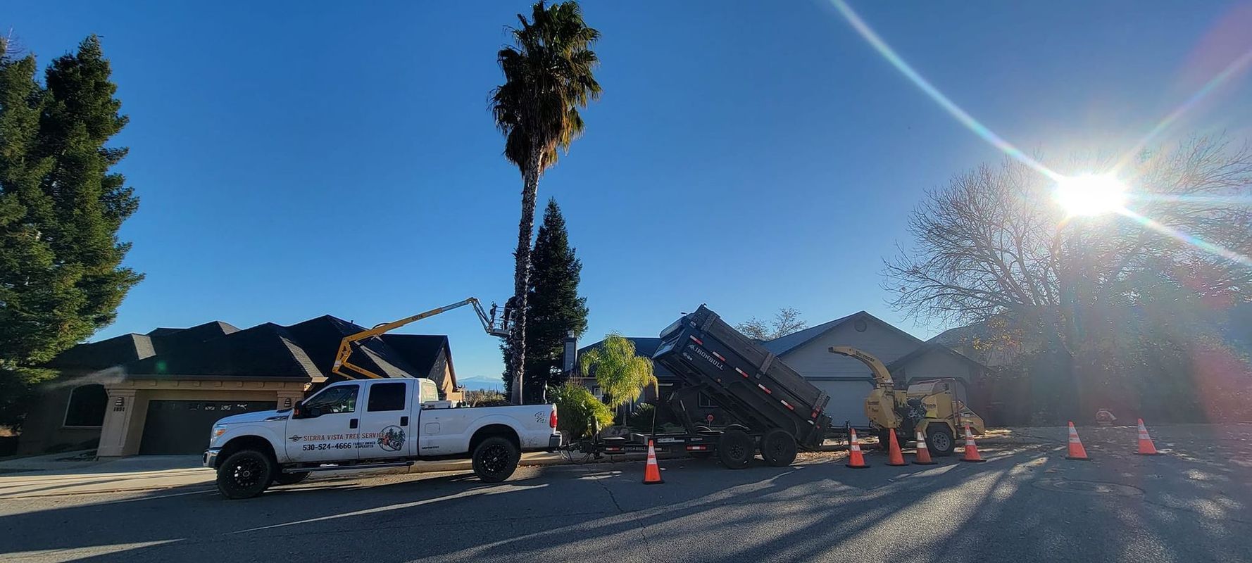 A tree removal service working in a residential neighborhood on a sunny day. A truck and equipment are in use.