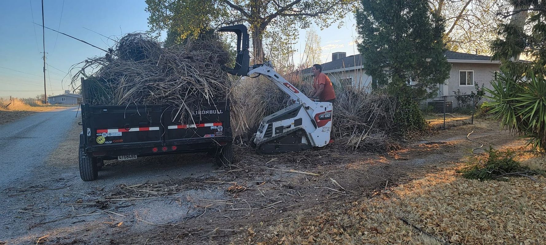 A skid steer shredding branches next to a trailer loaded with more branches, roadside setting.
