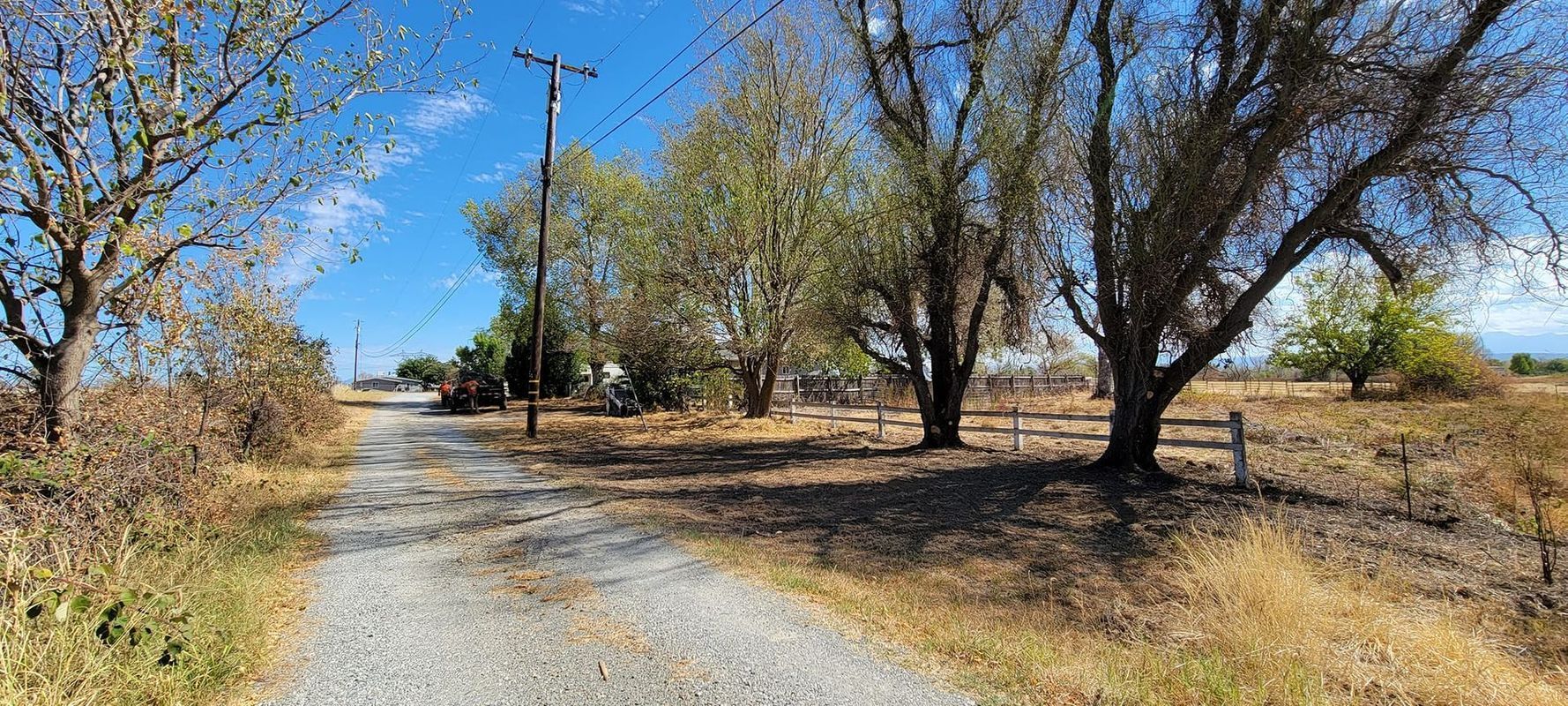 Gravel road leading to rural homes with trees and power lines, against a blue sky.