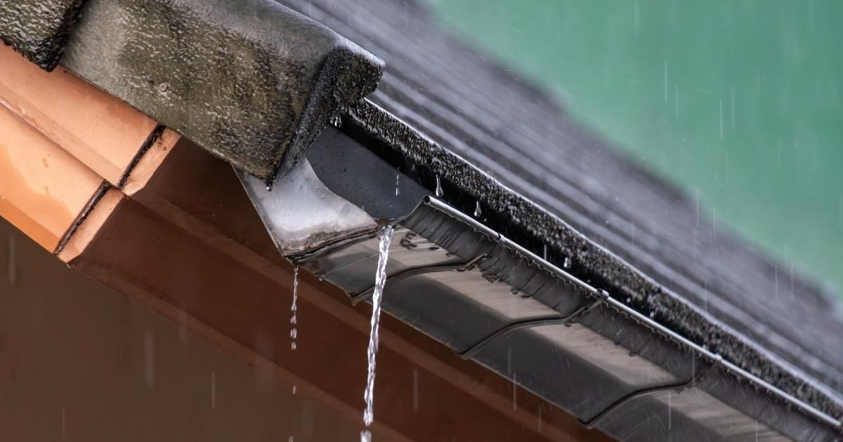 Rainwater pouring from a gutter on a house. Black gutter, wet roof, and beige siding.