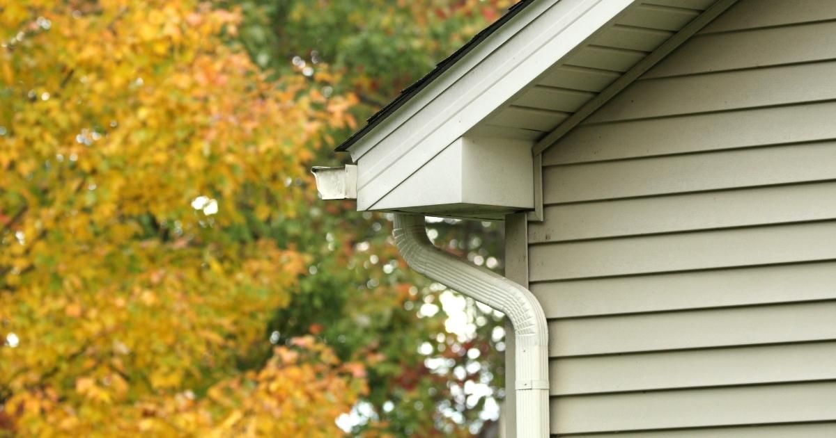 Beige house siding and gutter with fall foliage in background.