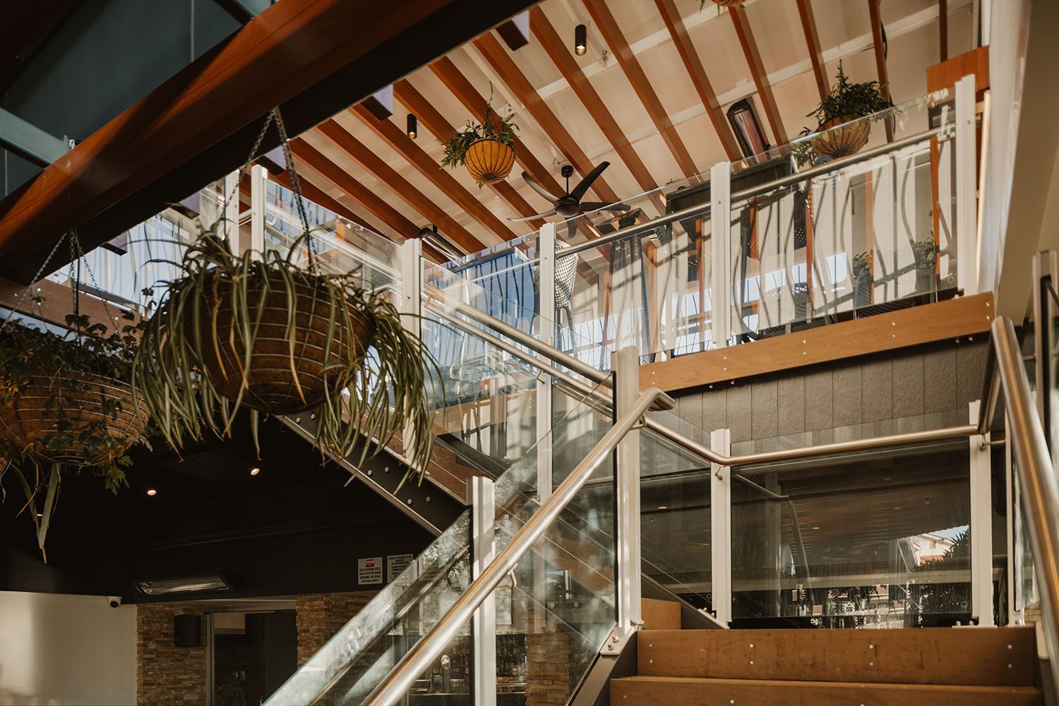 Indoor staircase with glass railing and hanging plants. Wooden beams on ceiling.