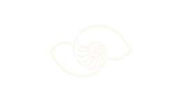 Diseño de concha en espiral de color beige claro sobre fondo blanco.