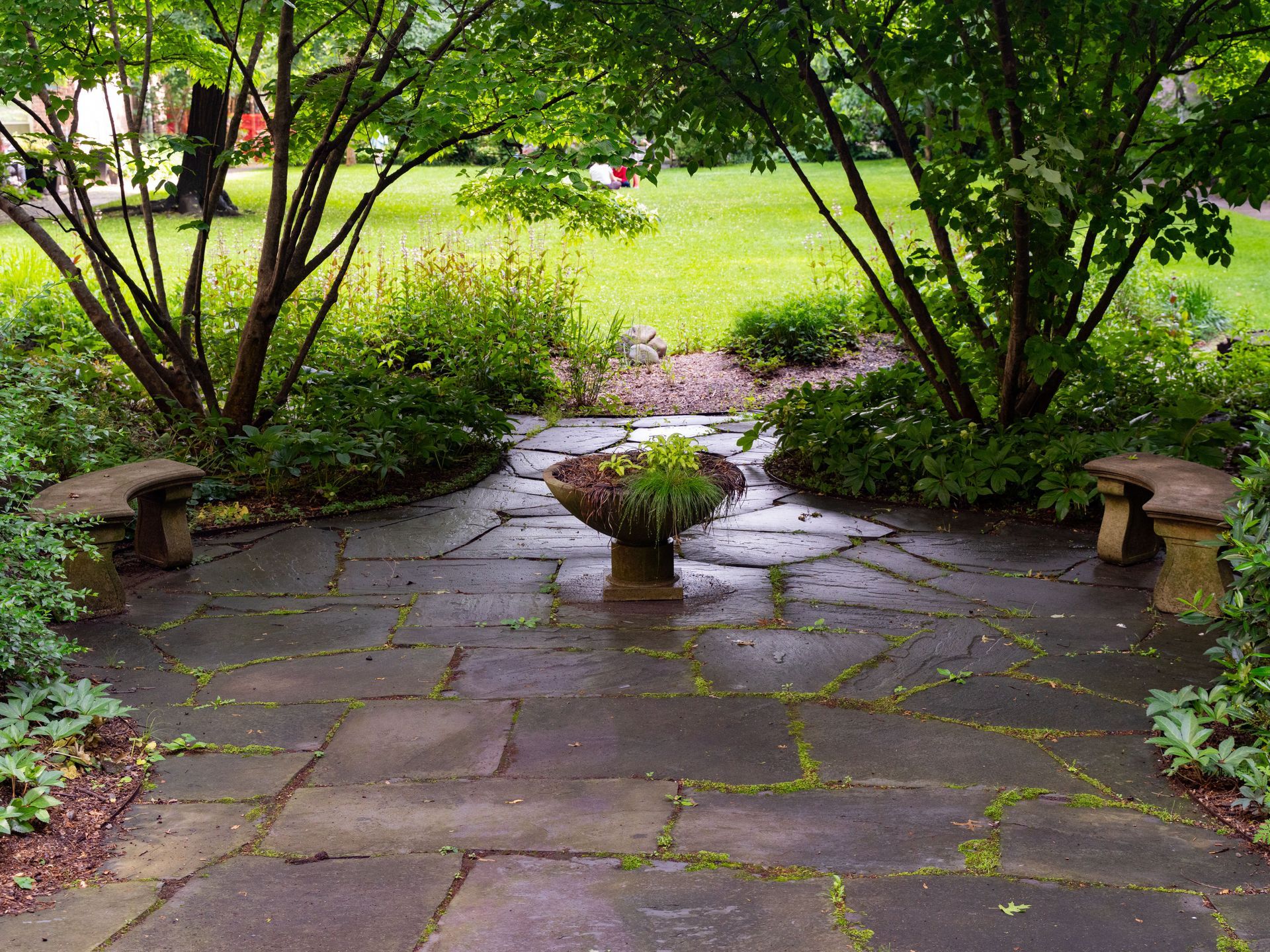 Garden path leading to a grassy lawn, framed by trees and shrubs with stone benches on both sides.