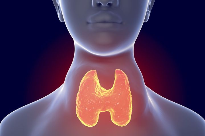 patologie della tiroide
