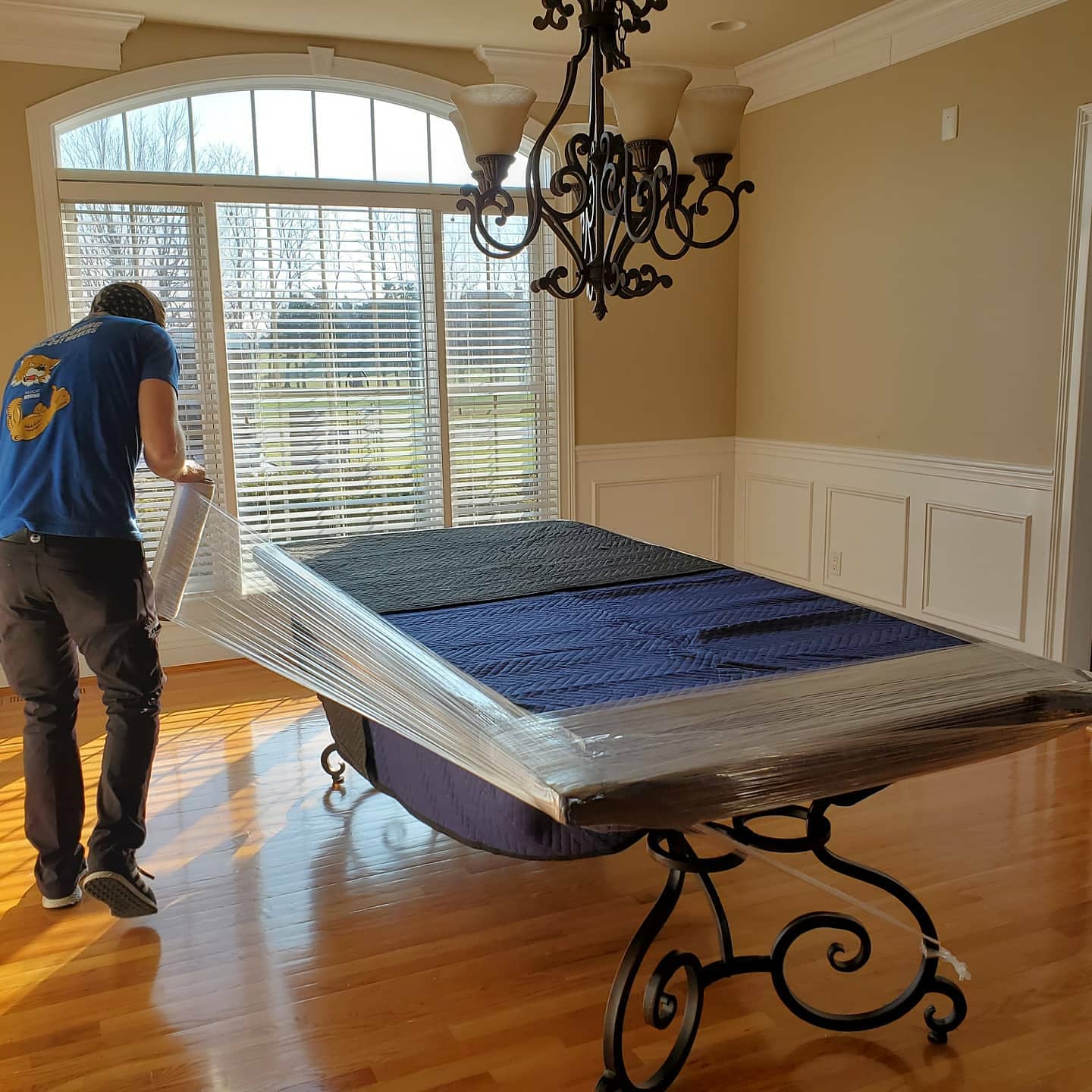 Movers Wildcat Moving Lexington, KY Kentucky's CleanCut Movers