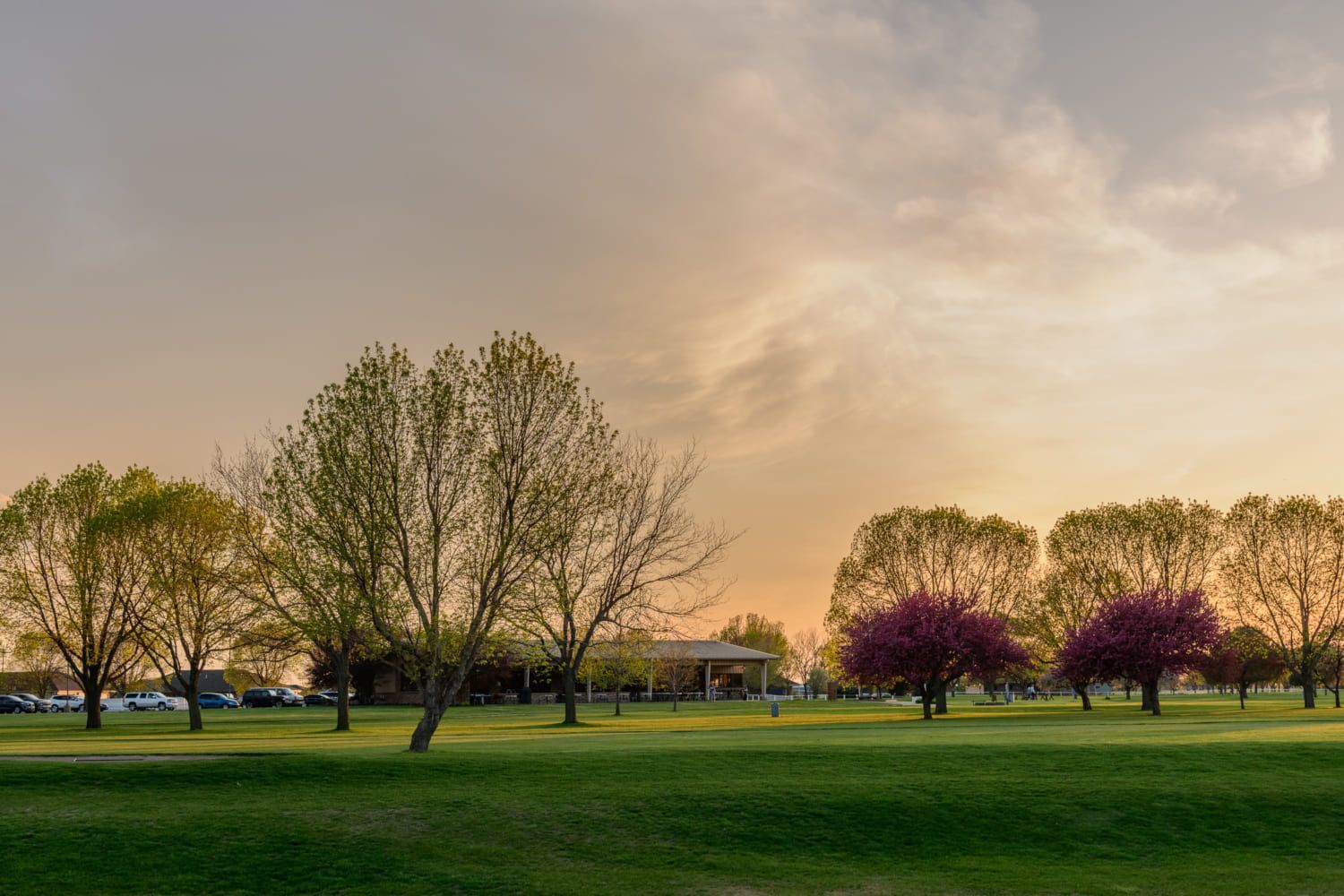 A park with trees and a sunset in the background