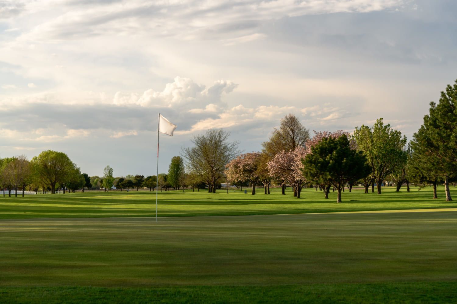A golf course with trees and a white flag on the green.