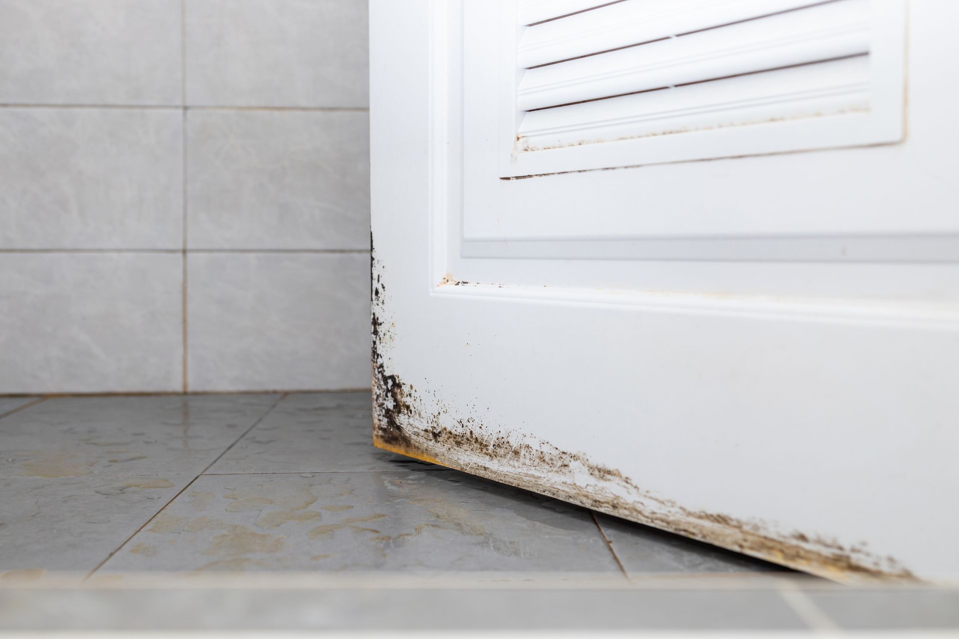A woman wearing orange gloves is holding a bucket of cleaning supplies.