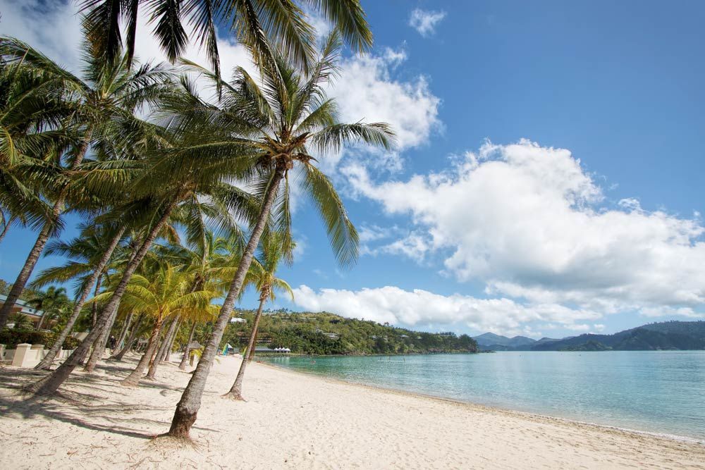 A Tropical Beach With Palm Trees And Mountains In The Background — Reef 2 River Marine in Proserpine, QLD