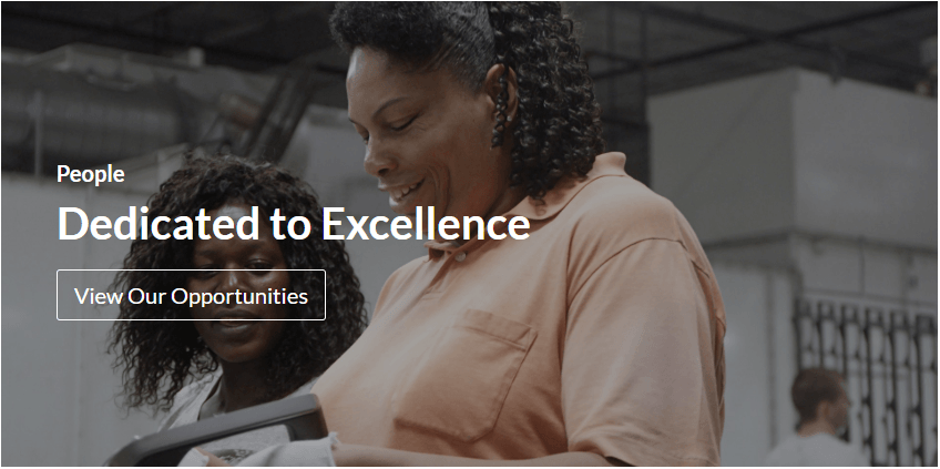 Dedicated to Excellence View Our Opportunities