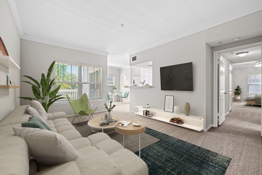 Apartment living room with a couch, a flat screen tv, oversized windows, rug, and plant at Marquis at Silverton in Cary, NC.