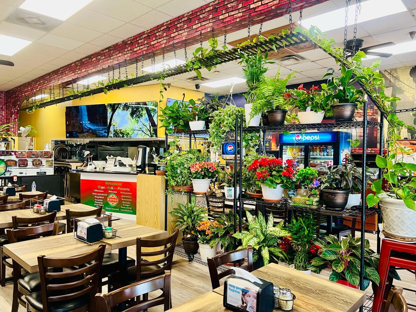 Napoli Italian Pizzeria Orlando, FL