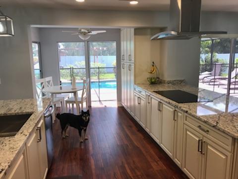 A kitchen with white cabinets and granite countertops, a dog, and a view of a pool.
