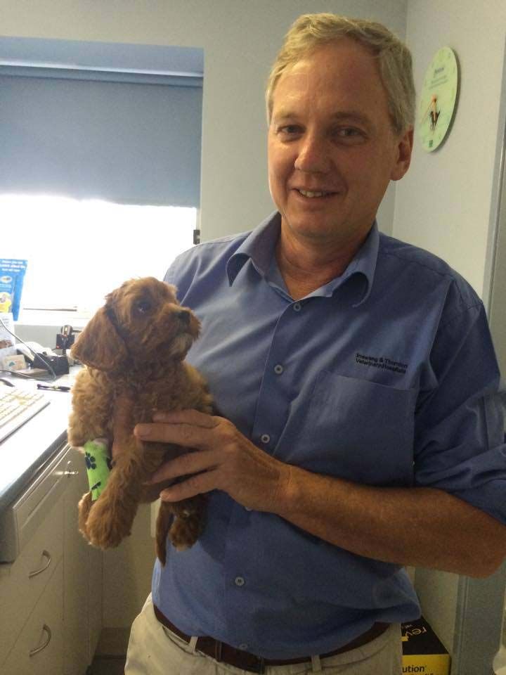 Vet Expert — Raymond Terrace, NSW — My Vets