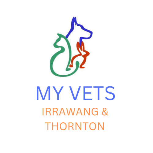 My Vets Irrawang & Thornton My Vets Irrawang & Thornton