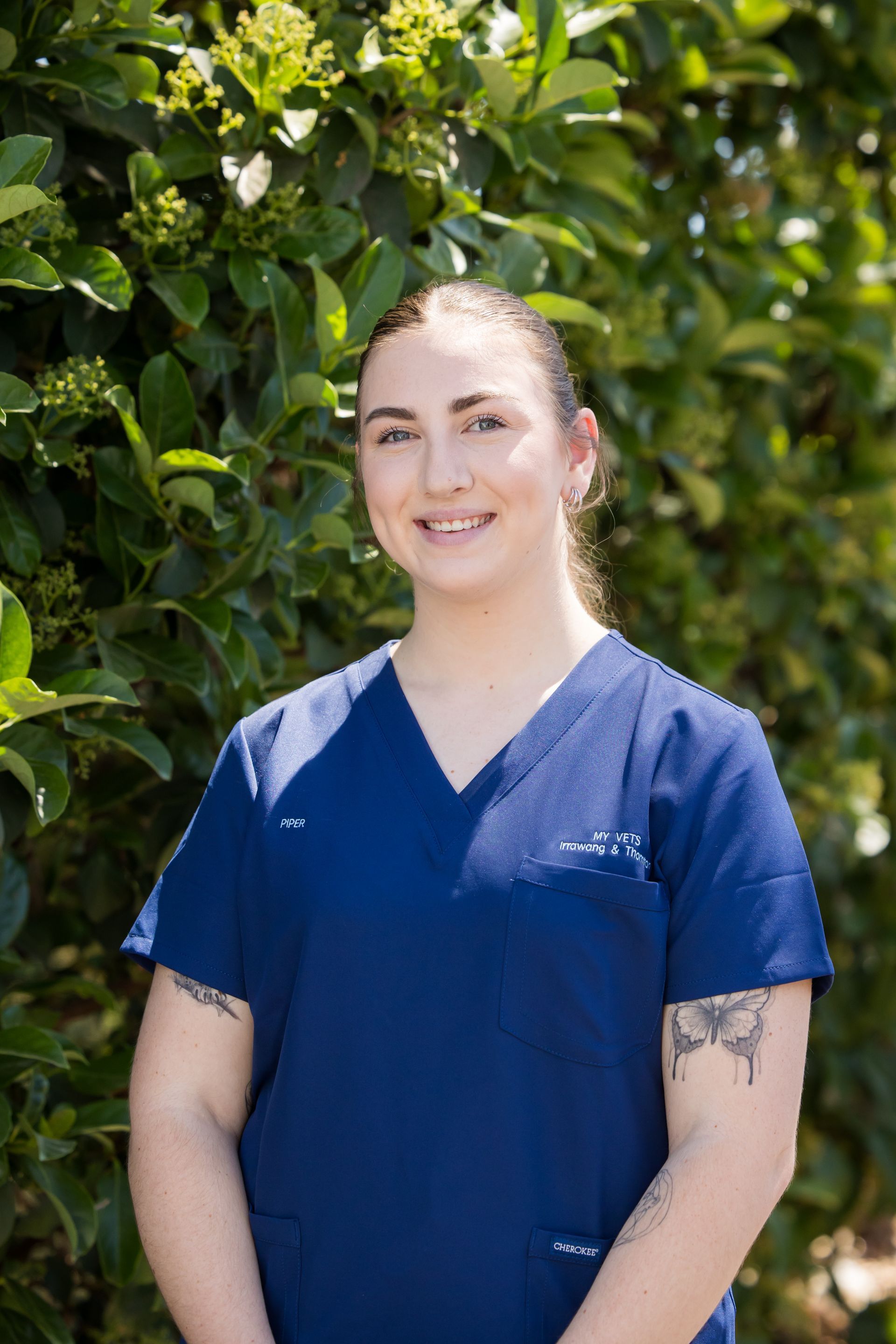 Piper — Raymond Terrace, NSW — My Vets