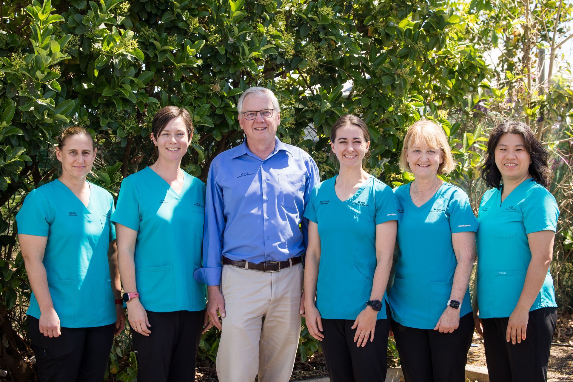 Vet Team — Raymond Terrace, NSW — My Vet