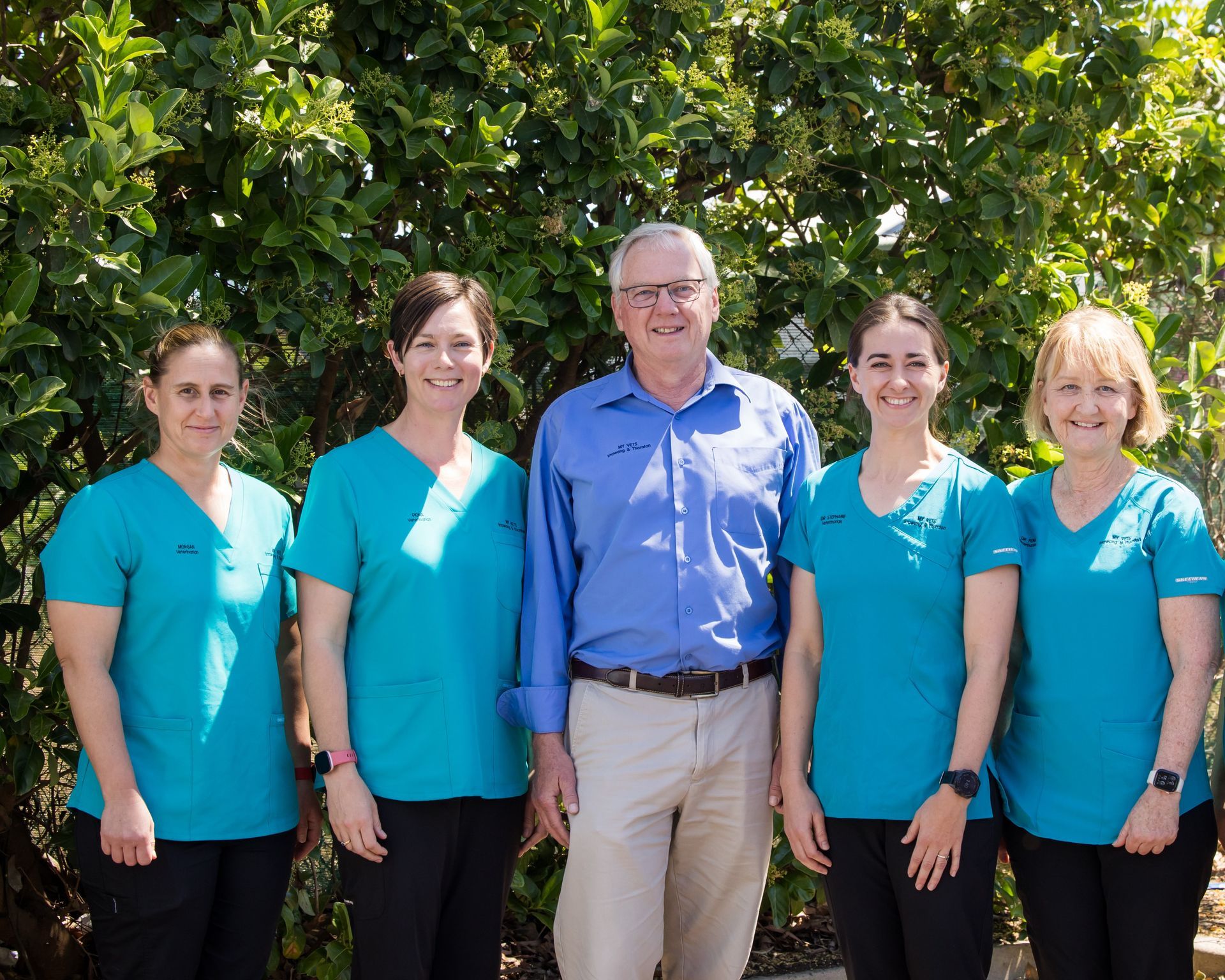 Vet Team — Raymond Terrace, NSW — My Vet