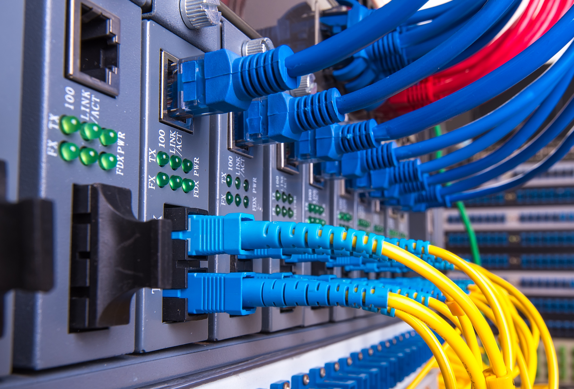 Network server with blue and yellow ethernet and fiber optic cables connected.