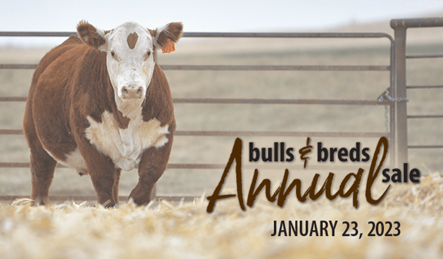 Delaney Herefords Inc.