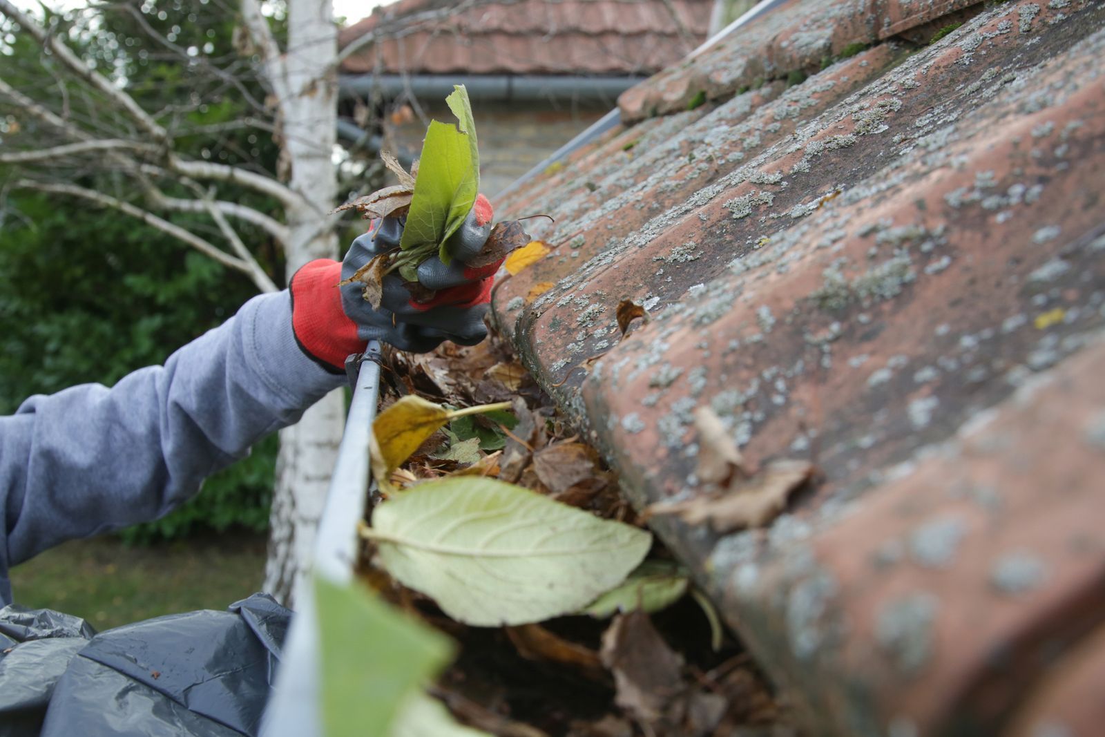 Gloved hand clearing leaves from a clogged rain gutter on a tiled roof