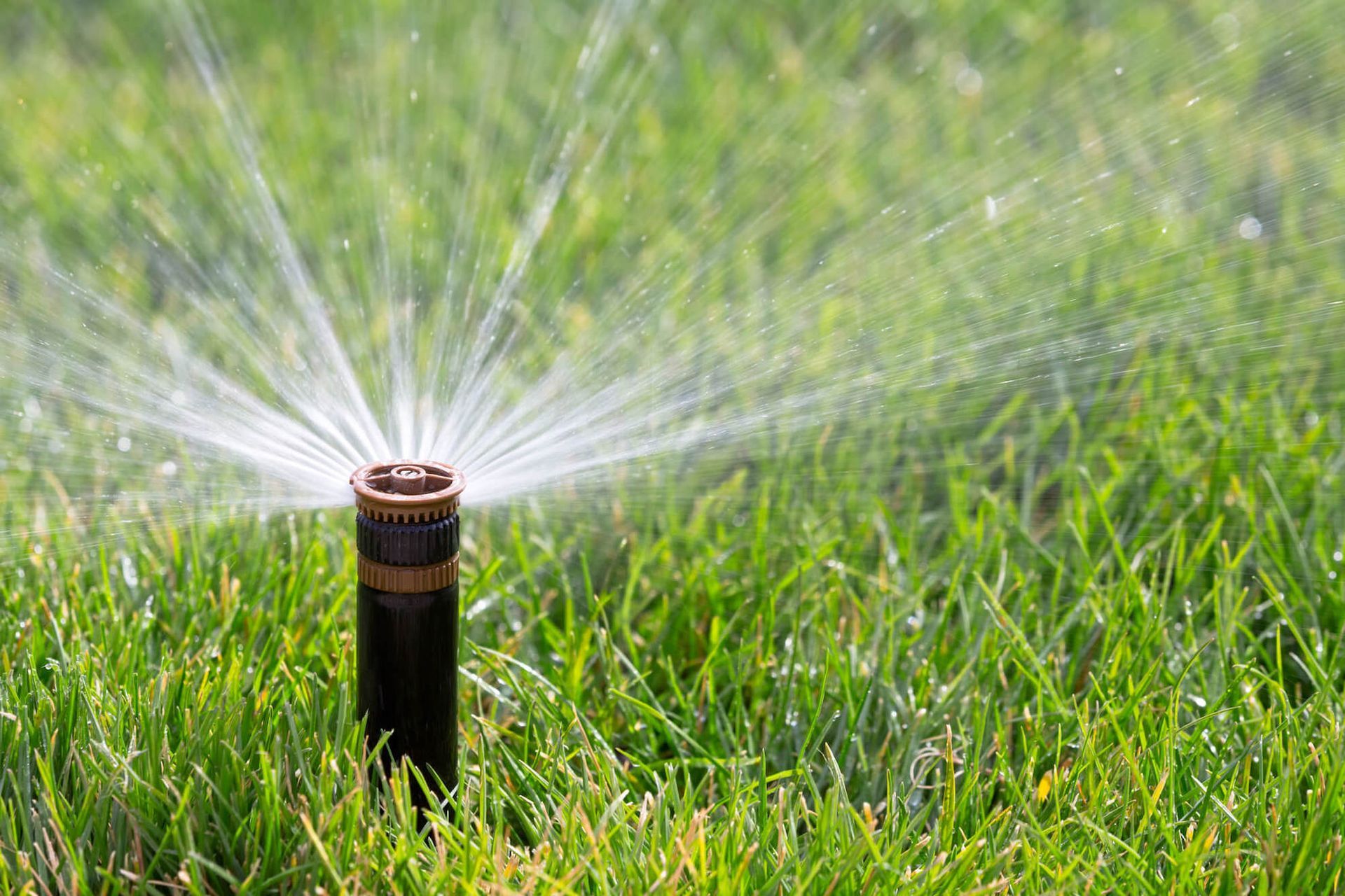 Lawn sprinkler spraying water across green grass