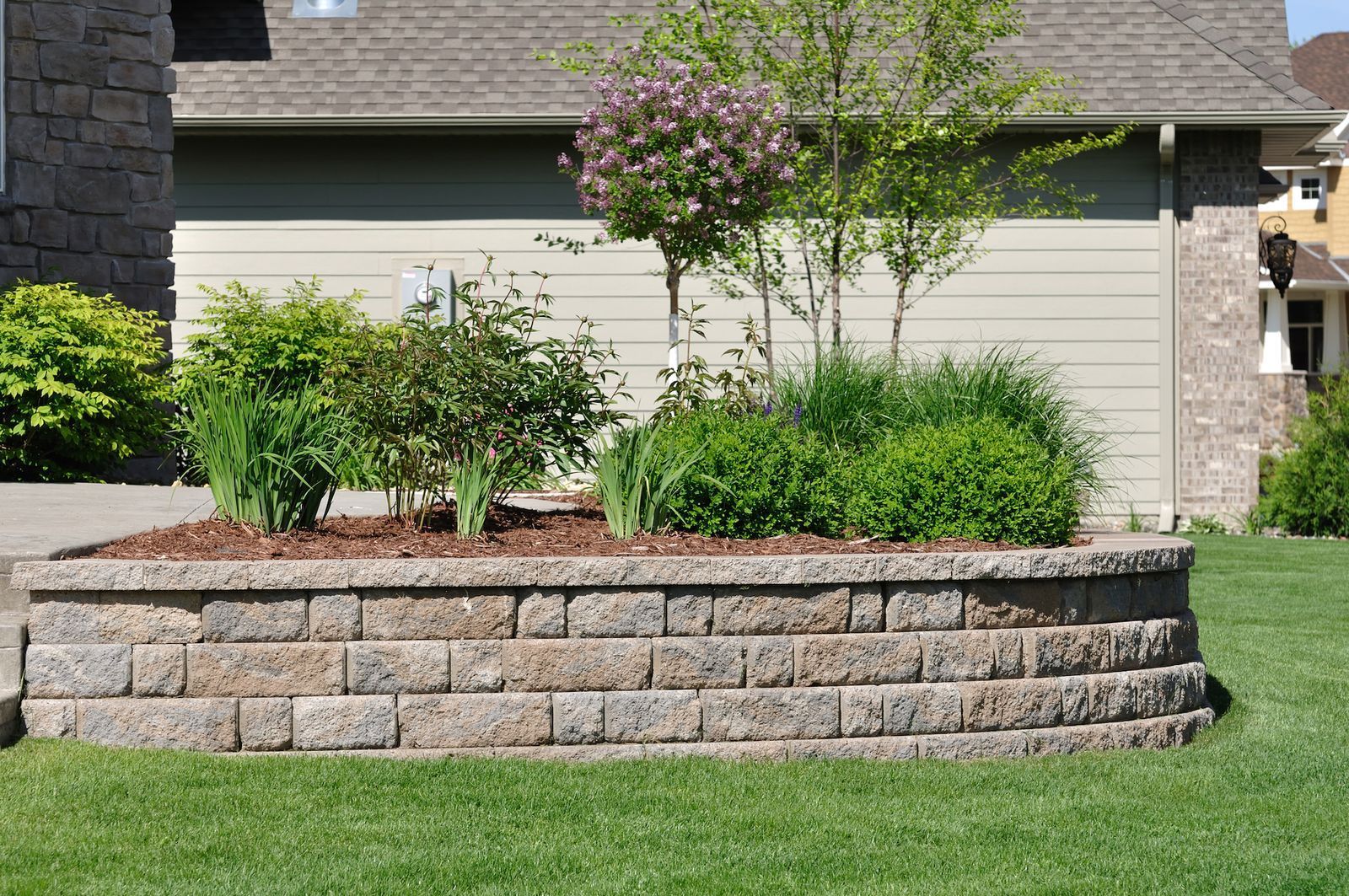Raised garden bed with shrubs and a small tree in front of a house and garage