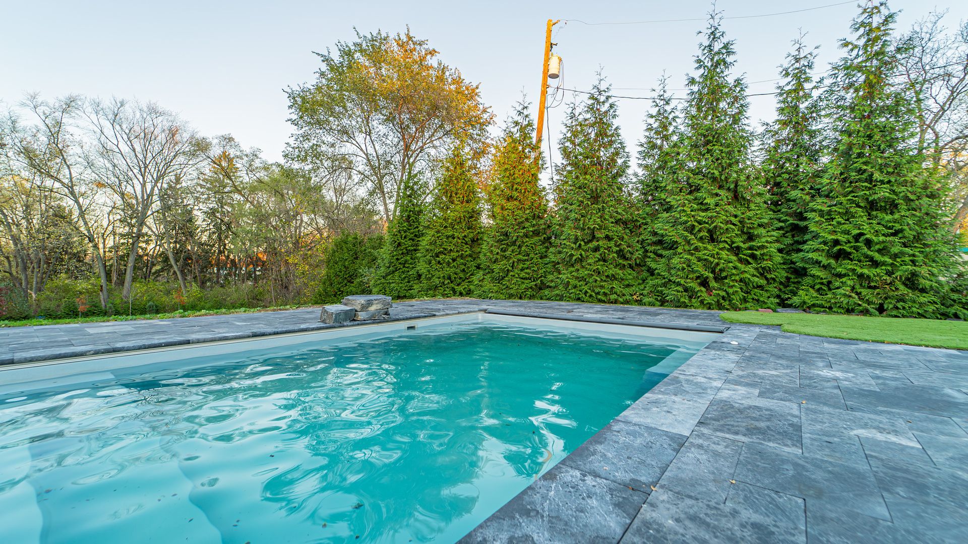 Outdoor swimming pool with stone coping and green water, trees in the background.