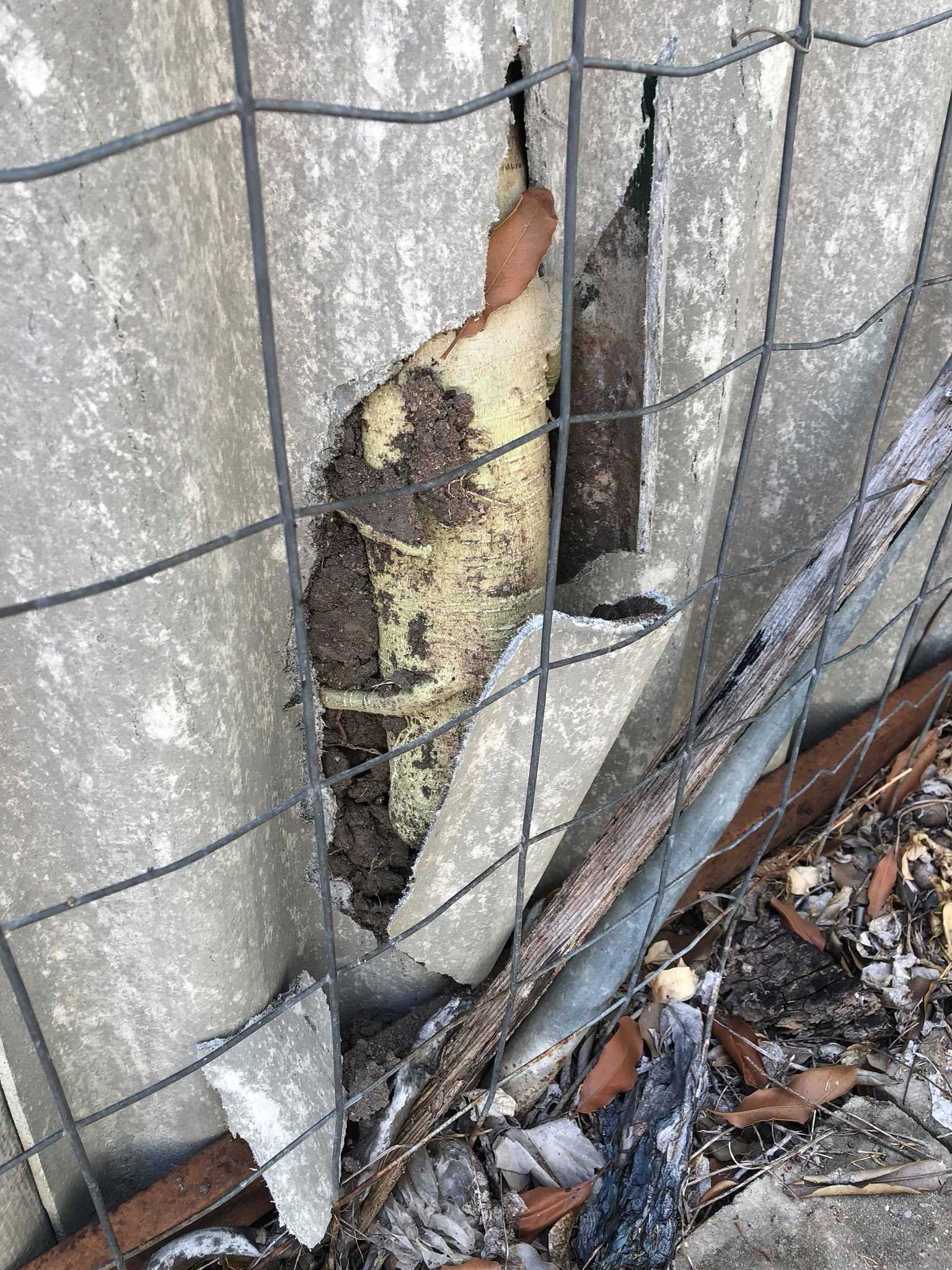 Damaged asbestos fence with large hole, showing underlying material.