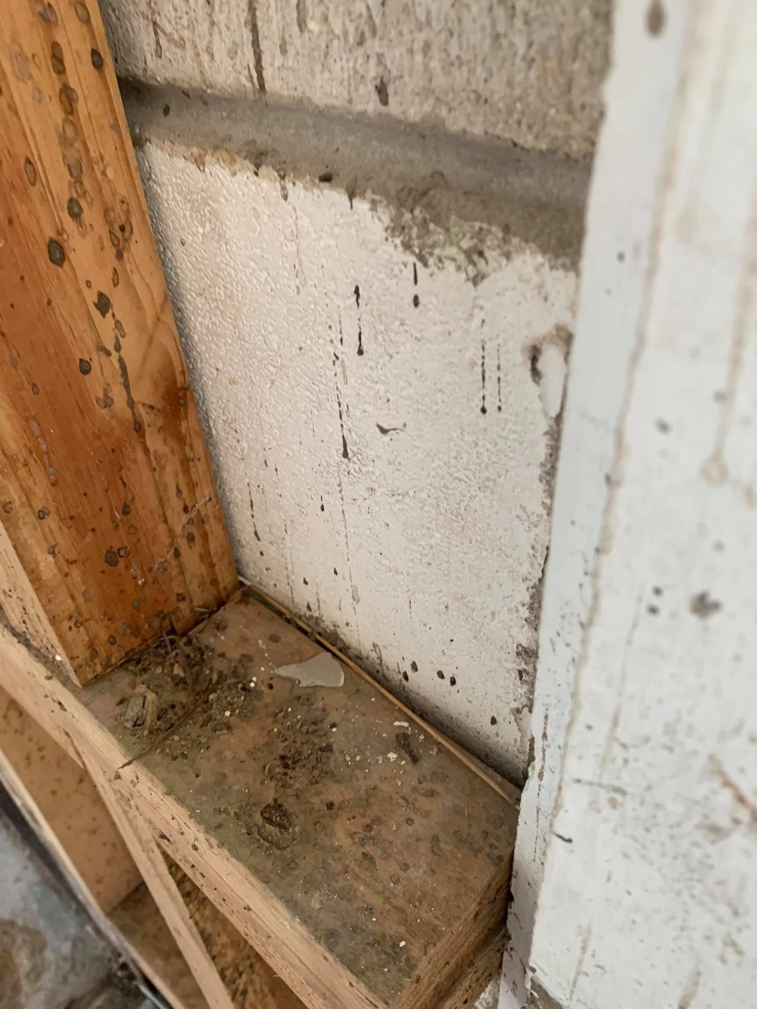 Wooden frame against a white wall with dark specks and condensation streaks.
