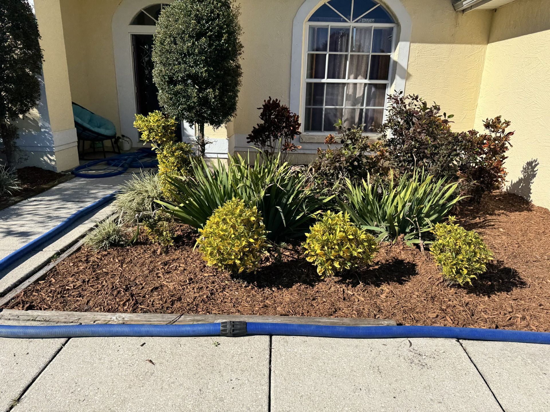 A garden with a blue hose in front of a house