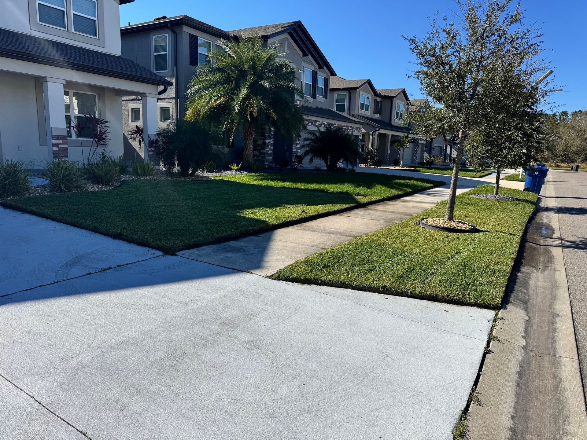 A row of houses on a sunny day with a sidewalk in front of them