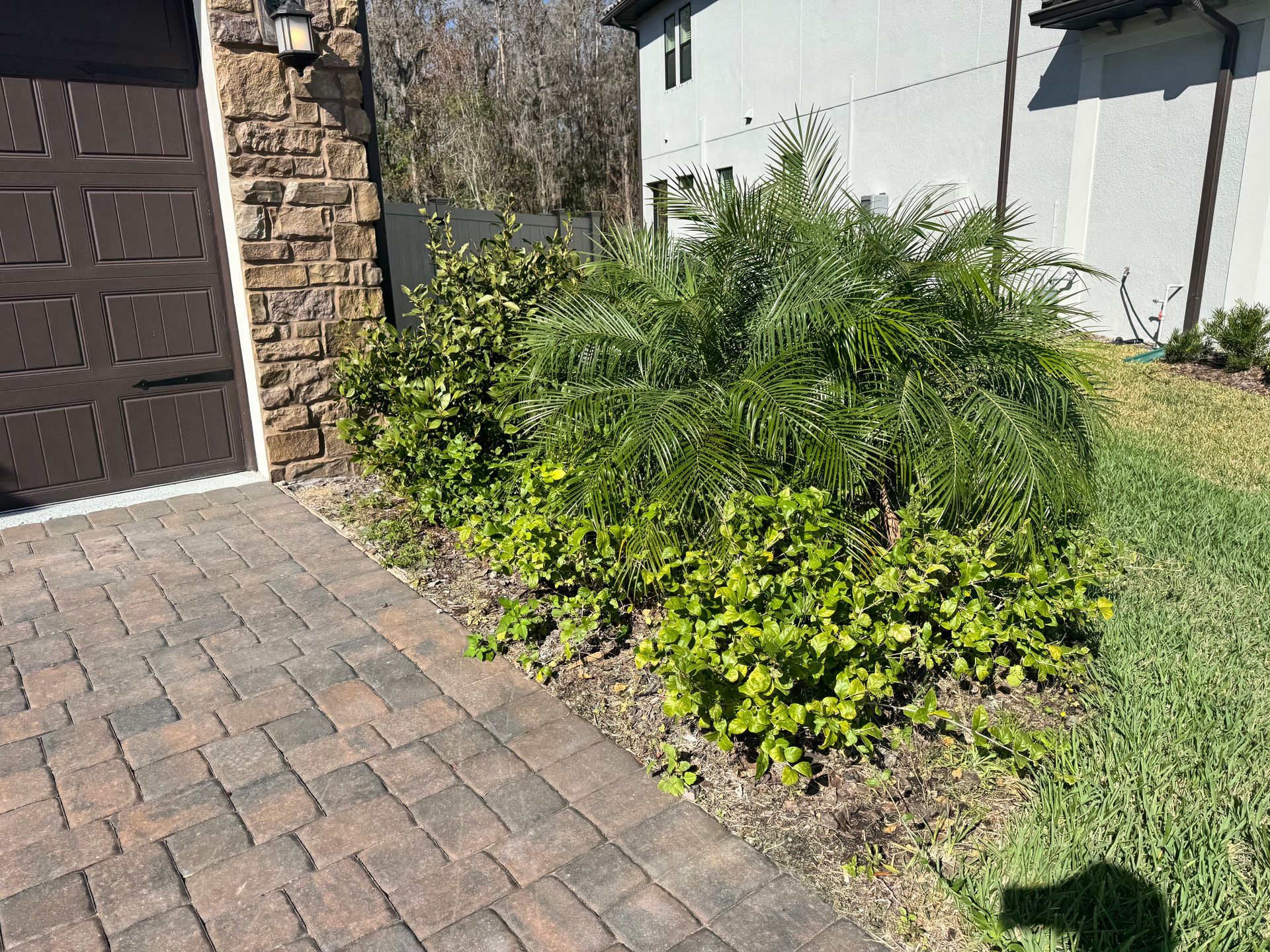 A brick walkway leading to a garage with a lot of plants growing on the side of it.