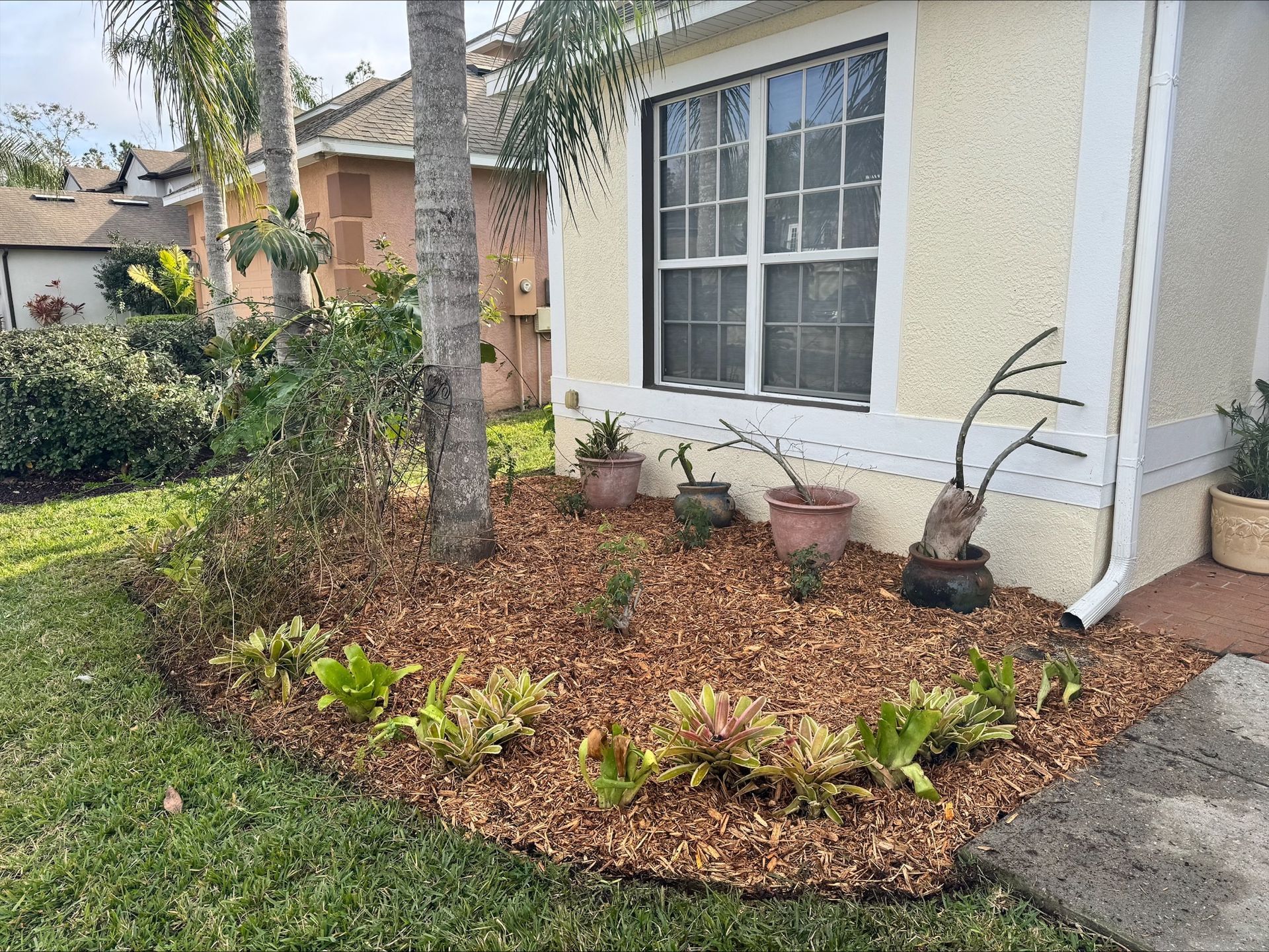 A house with a lot of potted plants in front of it.