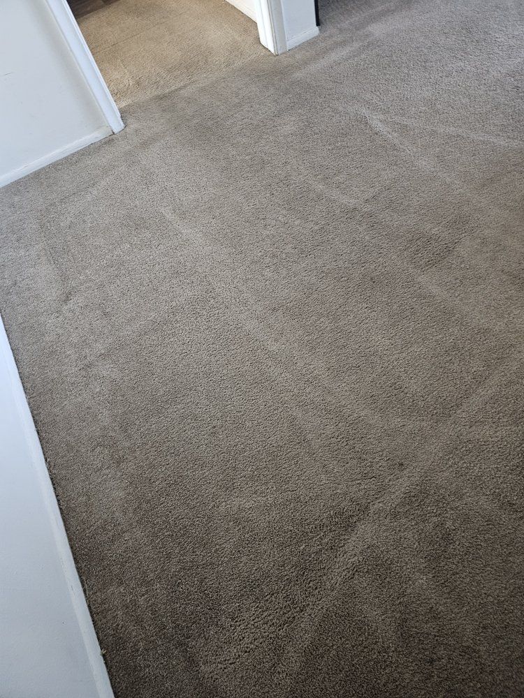 Gray carpet with visible vacuum cleaner marks in a room.