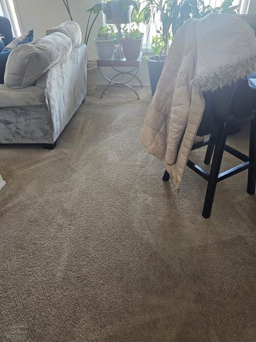 Living room with gray carpet, sofa, and a chair with a jacket hanging on it. Plants sit by a window.