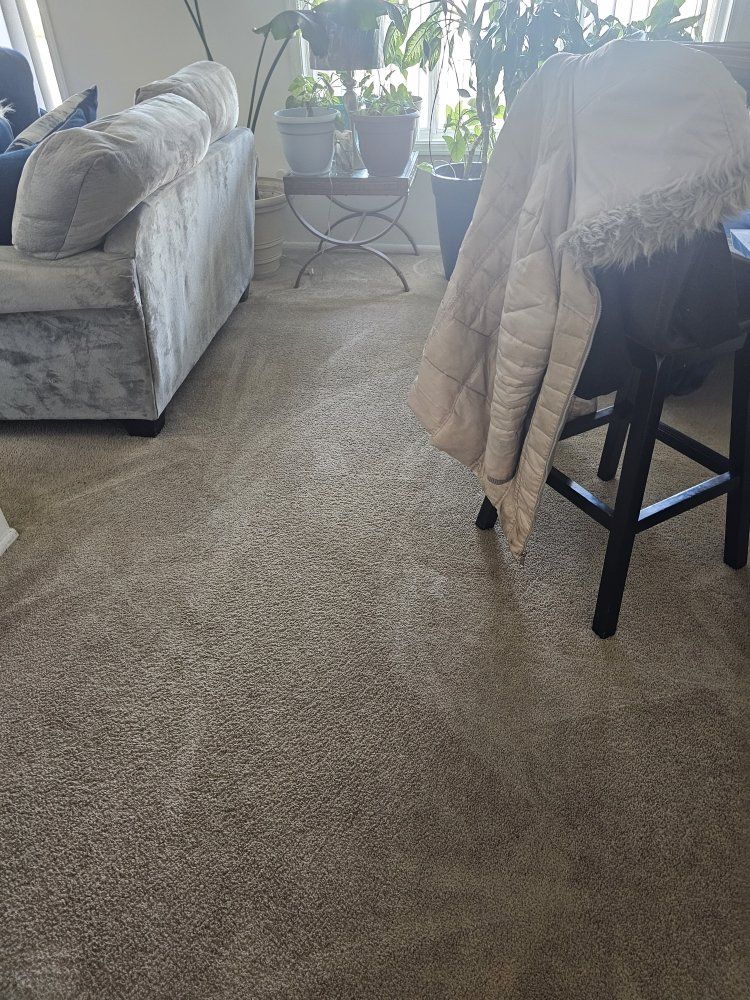 A room with gray carpet, a couch, coat hanging on a stool, and plants in the background.