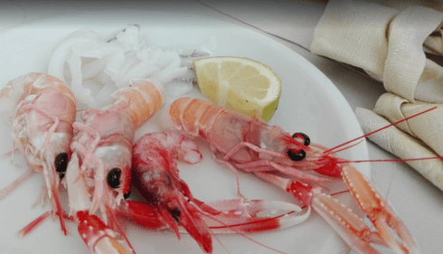 comunioni, battesimi, cerimonie, ristorante di pesce, crudi di mare