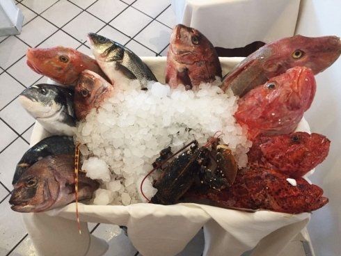 pesce fresco, pesce crudo, sushi, totani, scorfano