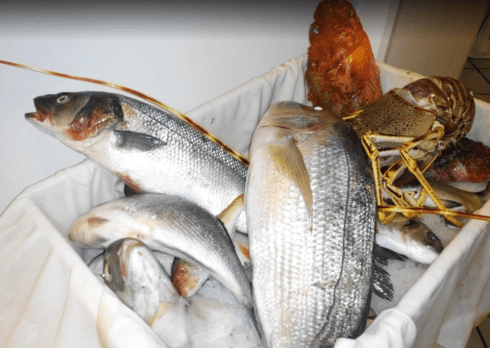 orata, pesce crudo, pesce fresco, ristorante brindisi, astice