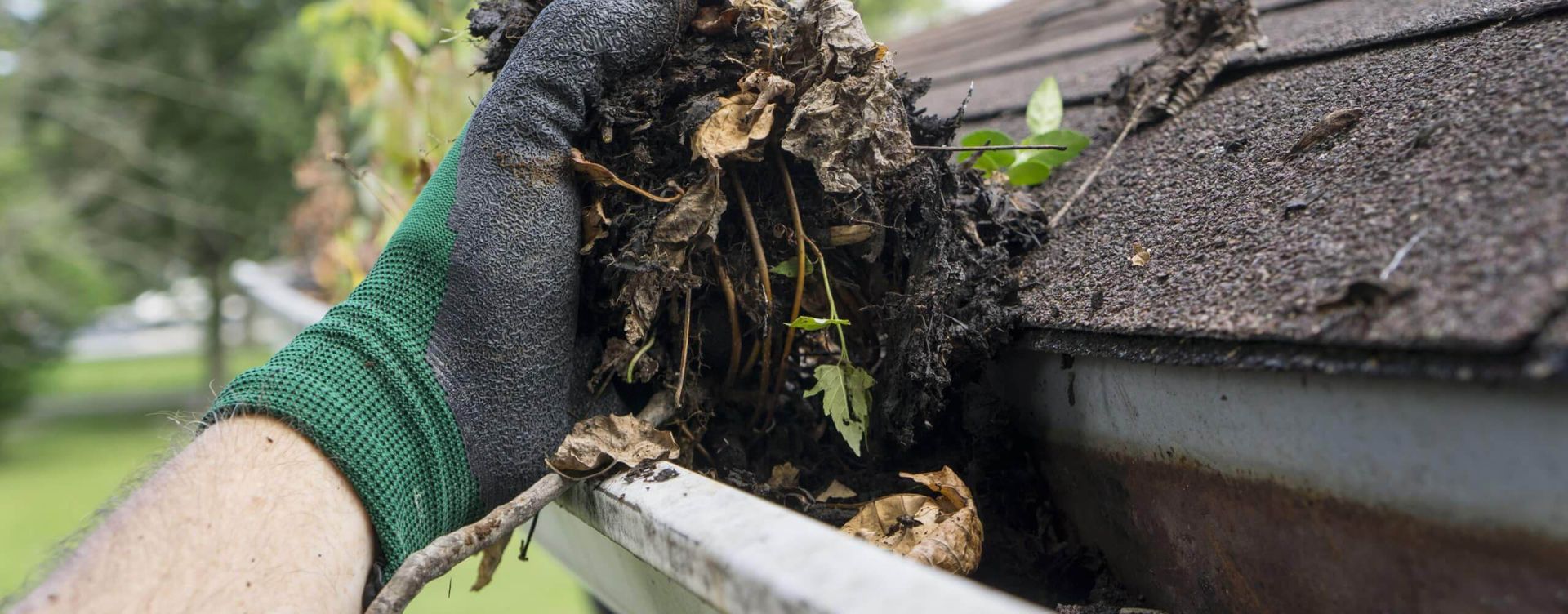 How to Show Some Love to Your Roof