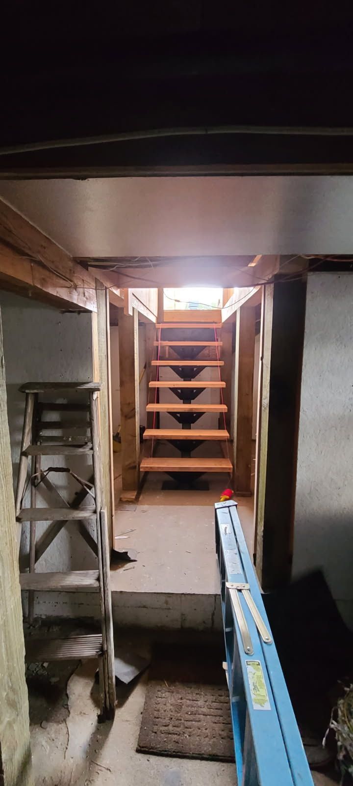 A wooden staircase in a basement with a blue ladder.