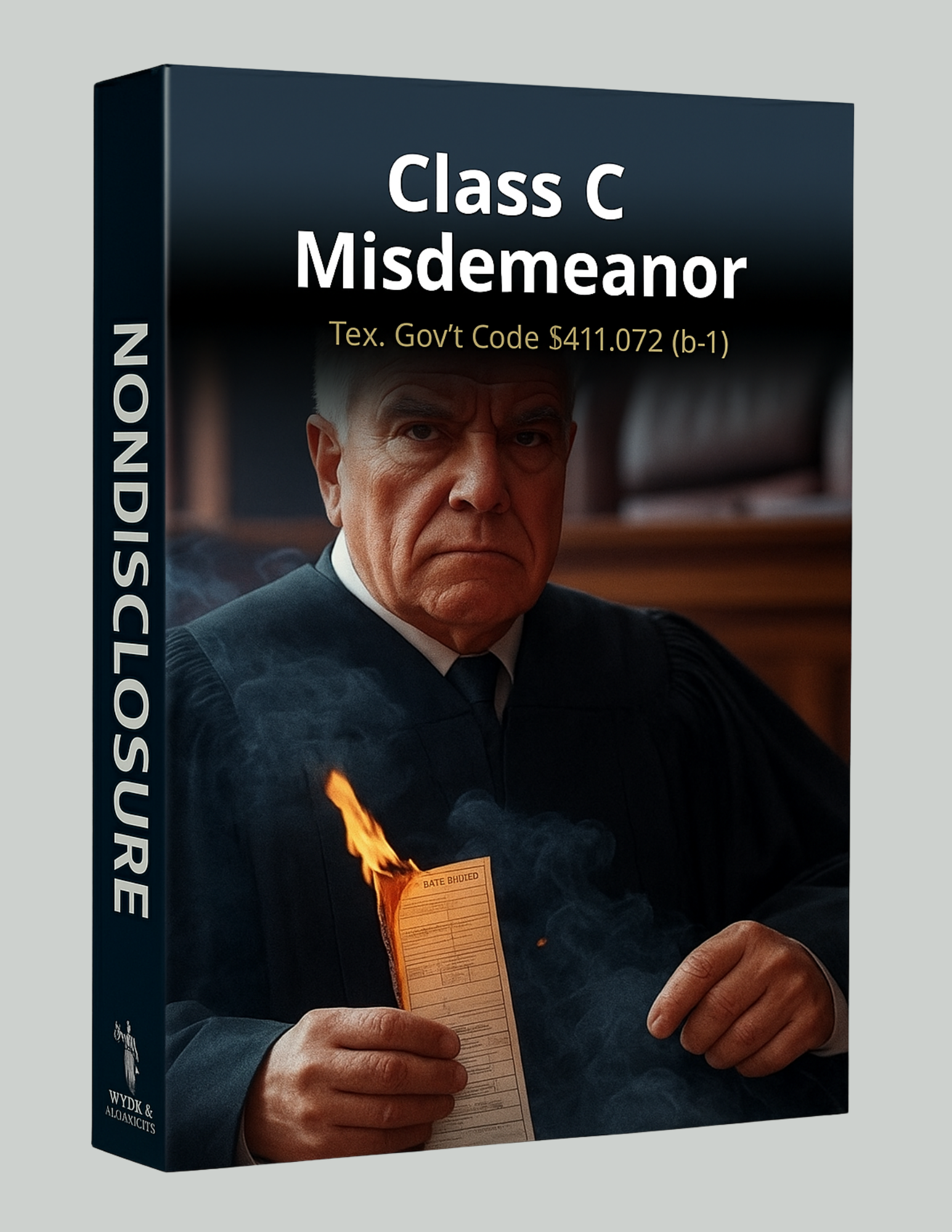 Cover art: Judge burning a document, 