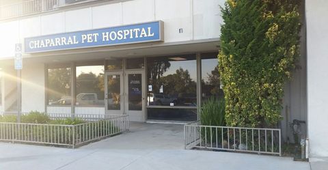 Claremont Vet — Chaparral Pet Hospital in Claremont, CA